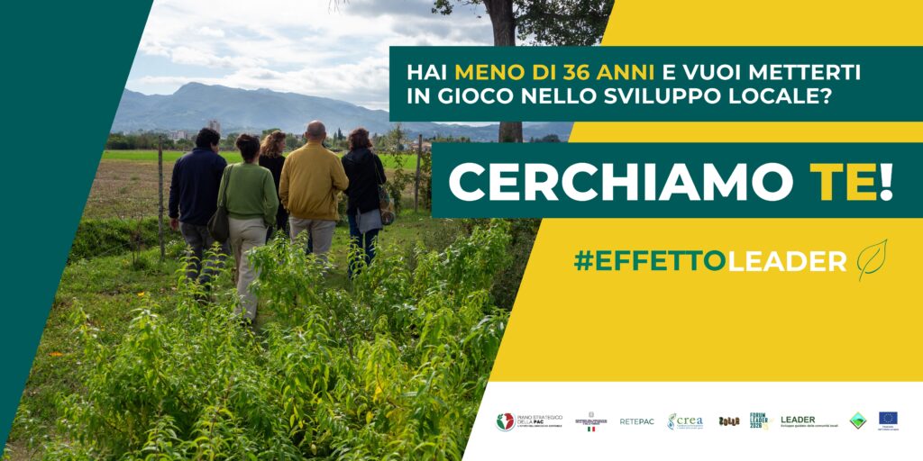 Effetto LEADER 2026: cerchiamo giovani professionisti dello sviluppo locale